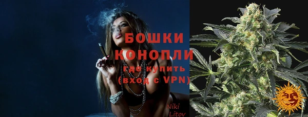 крисы Щучье
