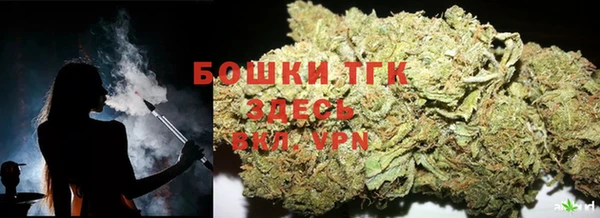 spice Алексин