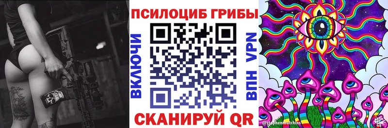 купить наркоту  Йошкар-Ола  Галлюциногенные грибы мицелий 